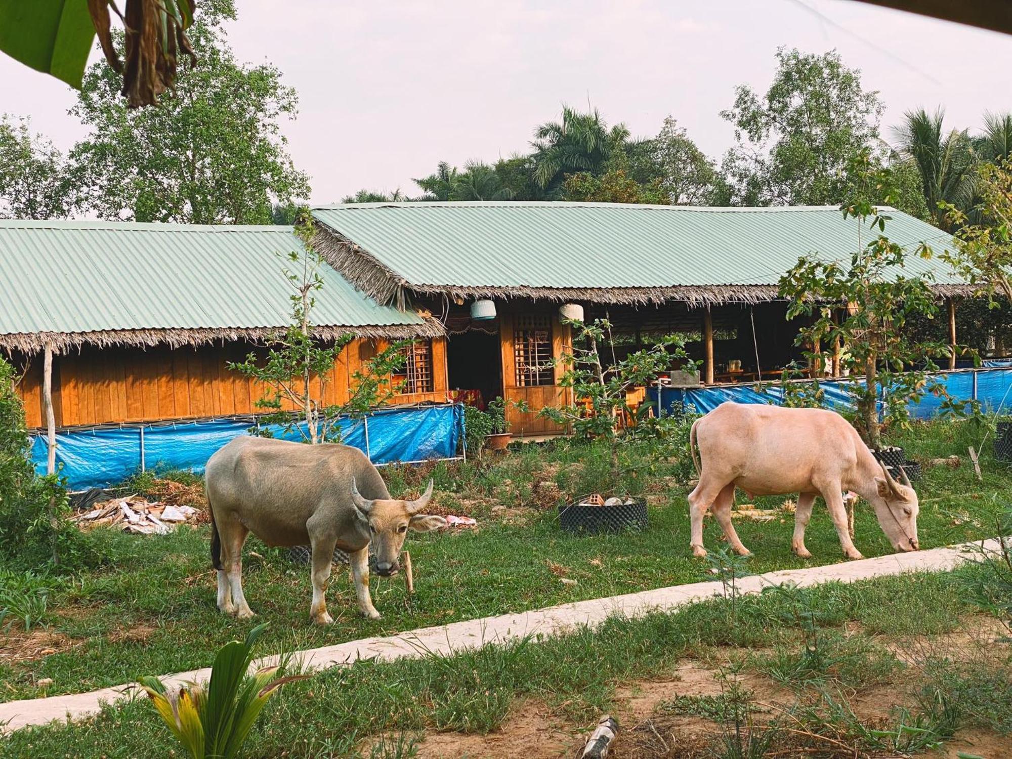 The Local Homestay Con Son Can Tho Eksteriør billede